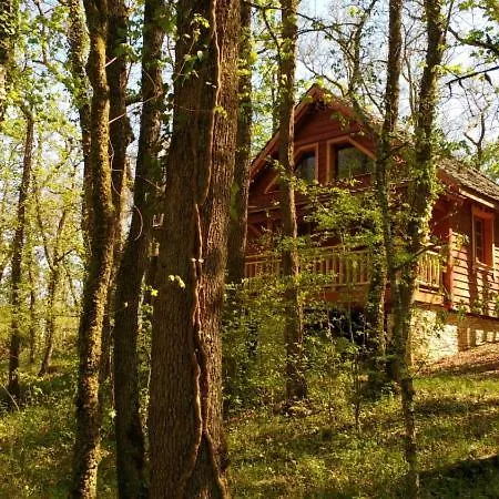 Le Nid De L'ecureuil * Lavercantière